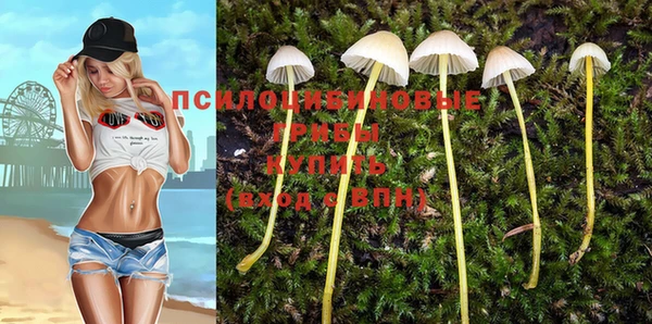 мескалин Алексеевка