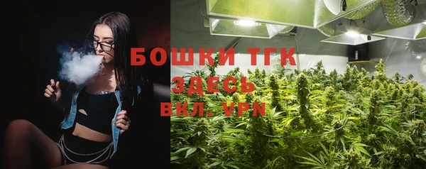 шишки Алексин