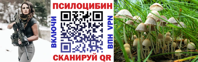 mega как зайти  Дорогобуж  Псилоцибиновые грибы ЛСД 